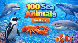 100 Sea Animals for Kids to Learn | Sea Creature Names & Facts with Real Ocean Footage