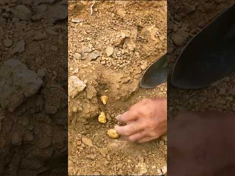 Digging Gold from Underground 🎉#Gold hunting #Treasure find #Metal detecting