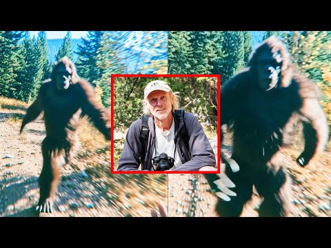 Hiker's Final Footage of BIGFOOT - BIGFOOT SIGHTINGS ON CAMERA COMPILATION