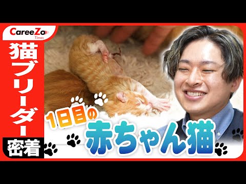 【赤ちゃん猫】ペットショップとは違う「猫ブリーダー」に1日密着！