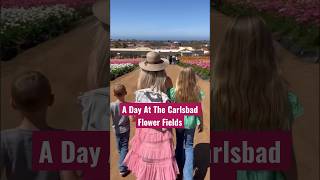 Spring is here!!! #flowerfields #springactivities #spring #springtime #springbreak2023