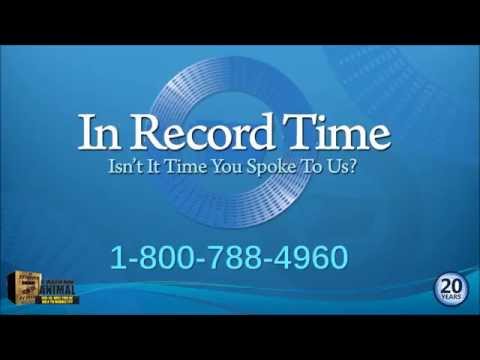 In Record Time: Remote Coding Vendor Now