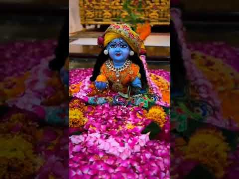 बाल गोपाल