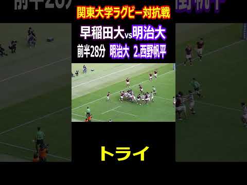 【トライ】前半28分　明治大　西野帆平選手　2024年関東大学ラグビー対抗戦　早稲田大学vs明治大学