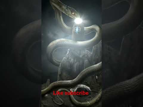 LLanka song/(mahesh kumawat video)
