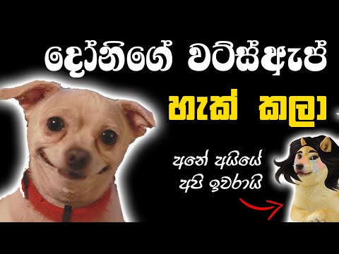 වට්ස්ඇප් හැ.ක් කරන්න ටූල් එකක් 2025 - how to H.A.C.K WhatsApp number
