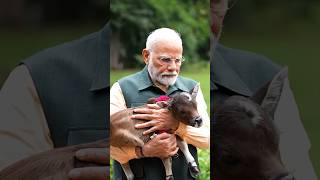 PM Modi welcomes ‘Deepjyoti’, a new member in the family at 7 Lok Kalyan Marg | #shorts