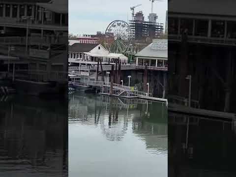Sacramento River bridge and boat サクラメント