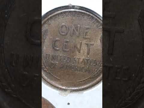 1909 V.D.B