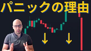 【元証券アナリスト】パニック売りが続く理由を解説。BTCサイクルは終了したのか！？【分析】