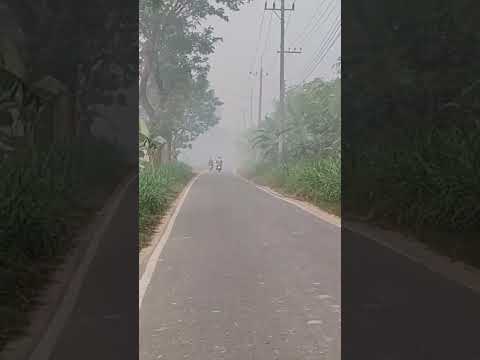 রাজশাহীতে শীতের কুয়াশা শুরু