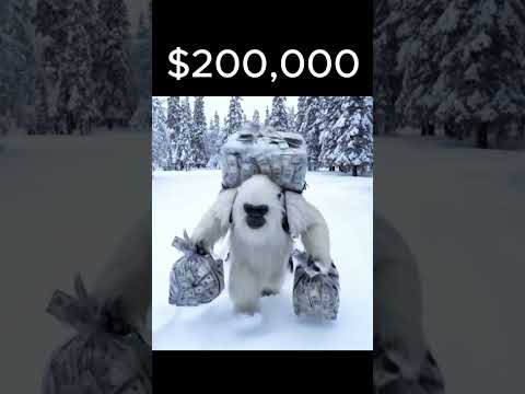 YETI vs Mr. Beast #shorts