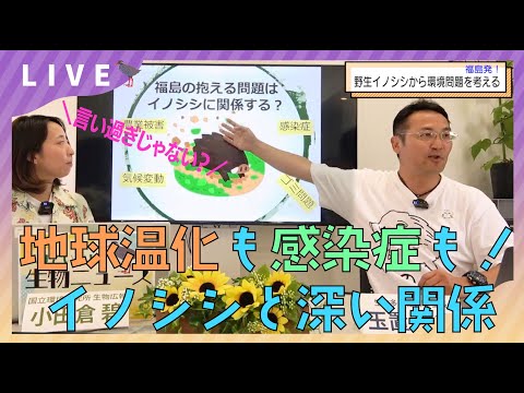 福島発！野生イノシシから環境問題を考える【すごいぞ！生物ニュース2023】