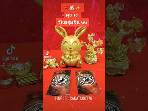 🇻🇳🐰ดูดวง วันตรุษจีน ปี66 ✨