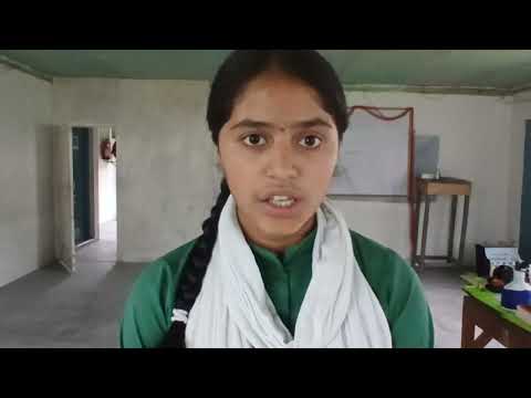 project on  Effects  of global warming