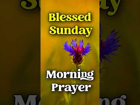 🙏 Blessed Sunday Prayer | Start Your Day with God's Peace and Grace #morningprayer  #dailyprayer