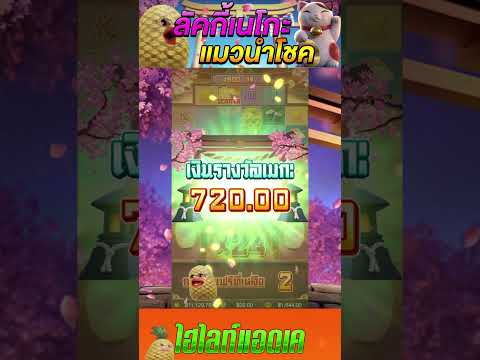 Lucky Neko | สล็อตลัคกี้เนโกะ | สล็อตpg แมวนำโชค !!