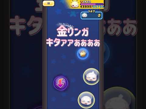 金リンガ発見！？果たして取れるのか，！？#妖怪ウォッチぷにぷに#ぷにぷに#shorts