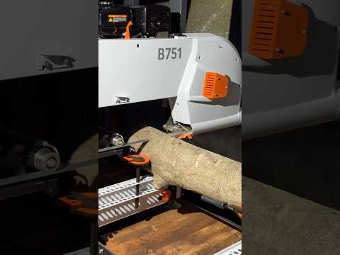 New Sawmill #ireland #sawmill #timber #logs #holly #woodwork #machines #bandsaw