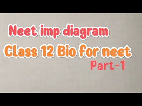 #Neet imp diagram class 12 for neet #part 1