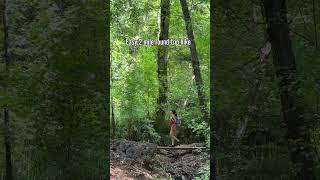 ☀️ Fossil Creek is one of Arizona’s most beautiful waterfall hikes—an oasis less than 2 hours from