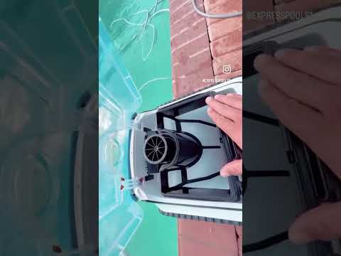 cleaning out pool cleaner #shorts