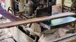 Massive Log Sawing Operation With Precision Engineering