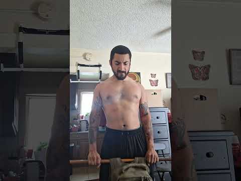 Reverse barbell curl June 17, 2025