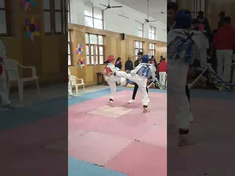 Girls Fight | 15th Haryana State Tang Soo Do Championship 2024 #sports #shorts