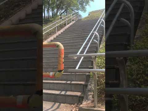 今度は違う公園に来た #散歩 #ぼっち #shorts