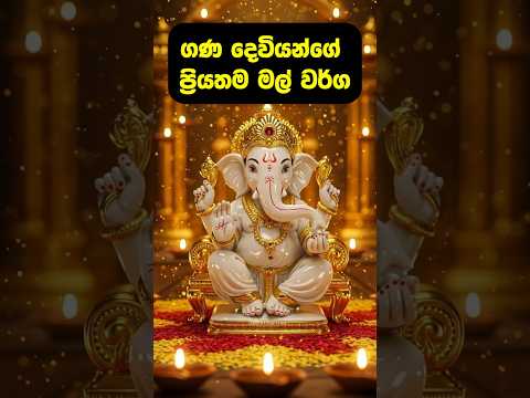 ගණ දෙවියන්ගෙන් පිහිට ලබාගන්න මේ මල් පූජ කරන්න 🙏✨ #shorts #ganesh  #viralvideo