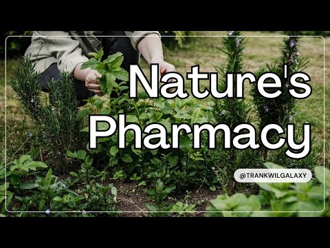 The Health Benefits of Everyday Herbs and Spices