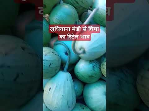 20 मार्च 2025 लुधियाना मंडी #घिया का रिटेल भाव#viralvideo