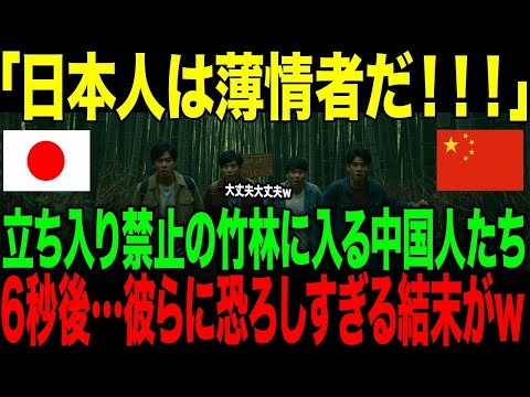 【海外の反応】「日本人は薄情者だ！」立ち入り禁止の竹林に入る中国人たち。→6秒後…彼らに恐ろしすぎる結末が