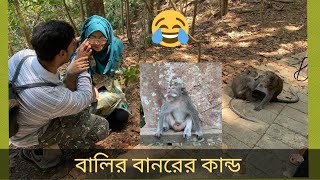 Must watch Monkeys funny video|monkey forest obud|বালির বানরের  বান্দরামী|few funny moments