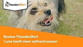 ThunderShirt Review: Insecure dog Luna more self-confidence during her walks