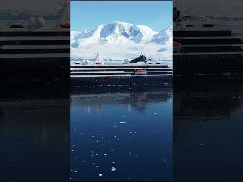 A mindful journey with Mystic Cruises