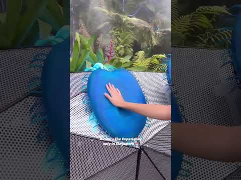 Avatar Experience in Singapore   #shorts #pandora #avatar2 #GardensBytheBay #KhannaTravels