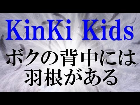 ボクの背中には羽根がある/キンキキッズ 歌詞付き💎高音質フル🎧(cover) Boku no senakaniha hanegaaru - KinKi Kids