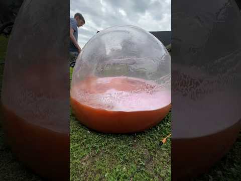 200 bath bombs in hamster ball #shorts