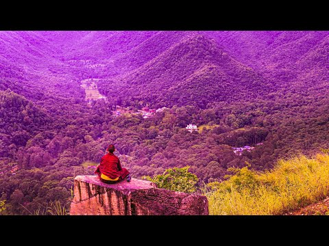 Miracle Healing Frequency | 528Hz Music For Meditation | Positive Vibes | Self Love Energy Cleanse