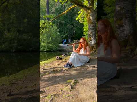 Relaxing Native Flute Puts Ducks to Sleep