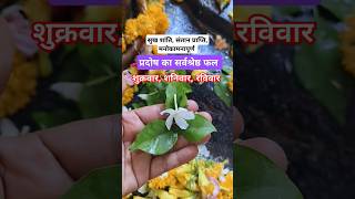 Best result of Pradosh | Pradosh fast remedy by Pradeep Mishra #Pradosh #pradeepmishra #pradosh