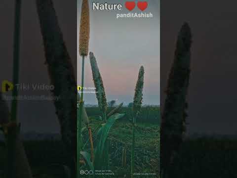 Beutiful Nature ♥️♥️