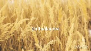@RitualÁurea  Música para reprogramar a mente. 888hz