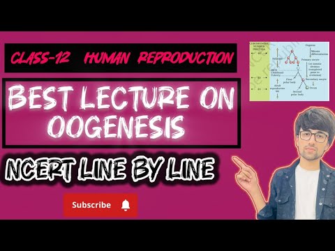 Class-12 Lecture-8 Human Reproduction (Best class ever on oogenesis)
