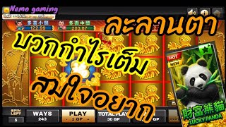 #slotxo #joker123 Lucky Panda จัดให้งามๆ ตามท้องเรื่อง #nemoslot#เครดิตฟรี