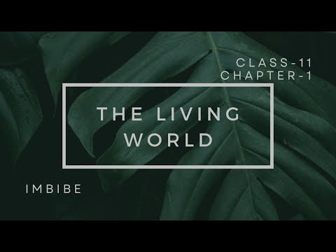 BIOLOGY CHAPTER 1 | THE LIVING WORLD | PART - 1 | CLASS XI NCERT COVERED | NEET - UG EXAM