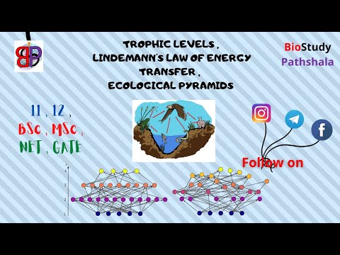 TROPHIC LEVELS || LINDEMANN'S LAW  || ECOLOGICAL PYRAMIDS || Ecology || Life Sciences
