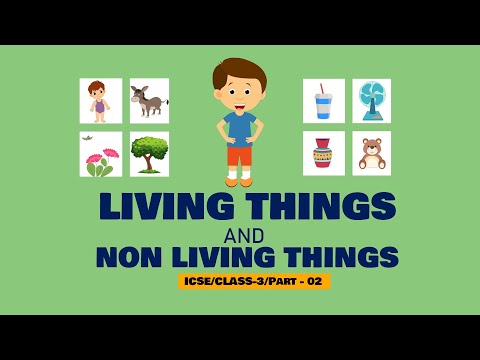 ICSE/CLASS-3/CHAPTER-01/Living Things And Non Living Things/Part-02